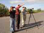 wild life llanos